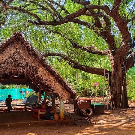 Hostel Travellers Tribe By Livelehood Habitat Auroville Zewnętrze zdjęcie