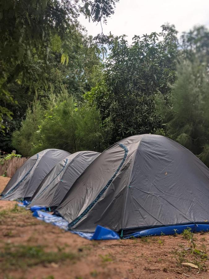 Hostel Travellers Tribe By Livelehood Habitat Auroville Zewnętrze zdjęcie