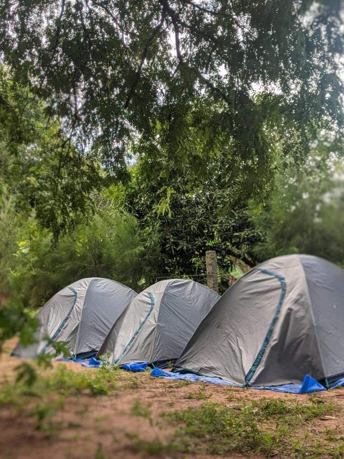 Hostel Travellers Tribe By Livelehood Habitat Auroville Zewnętrze zdjęcie