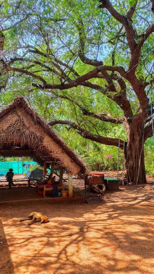 Hostel Travellers Tribe By Livelehood Habitat Auroville Zewnętrze zdjęcie